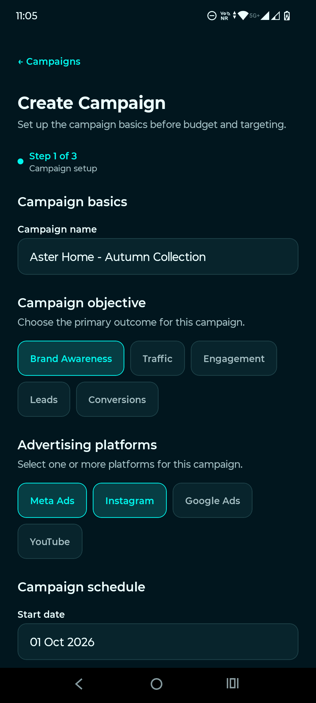 Campaign creation screen with objectives and planned advertising platform choices; no live platform connection.