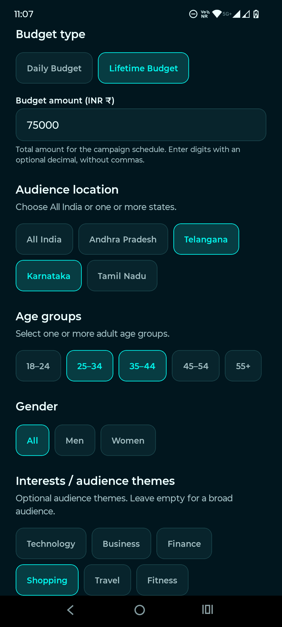 Sample lifetime budget of 75,000 rupees with Telangana and Karnataka, ages 25 to 44, all genders, and Shopping selected as audience settings.