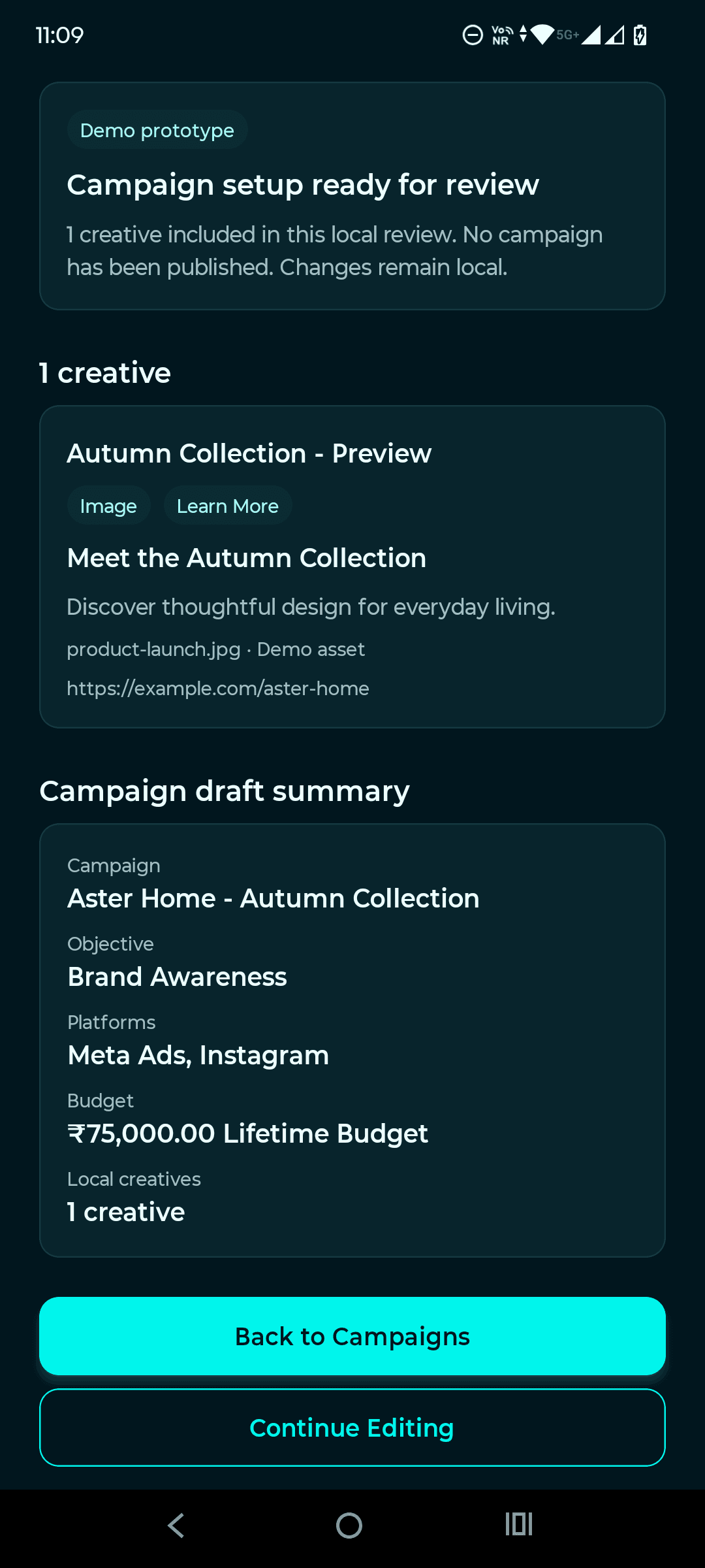 Campaign review screen summarizing a local draft and explaining that no campaign is published.